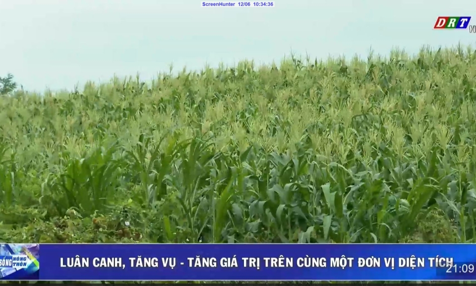 Đời sống n&ocirc;ng th&ocirc;n ng&agrave;y 5-12-2023