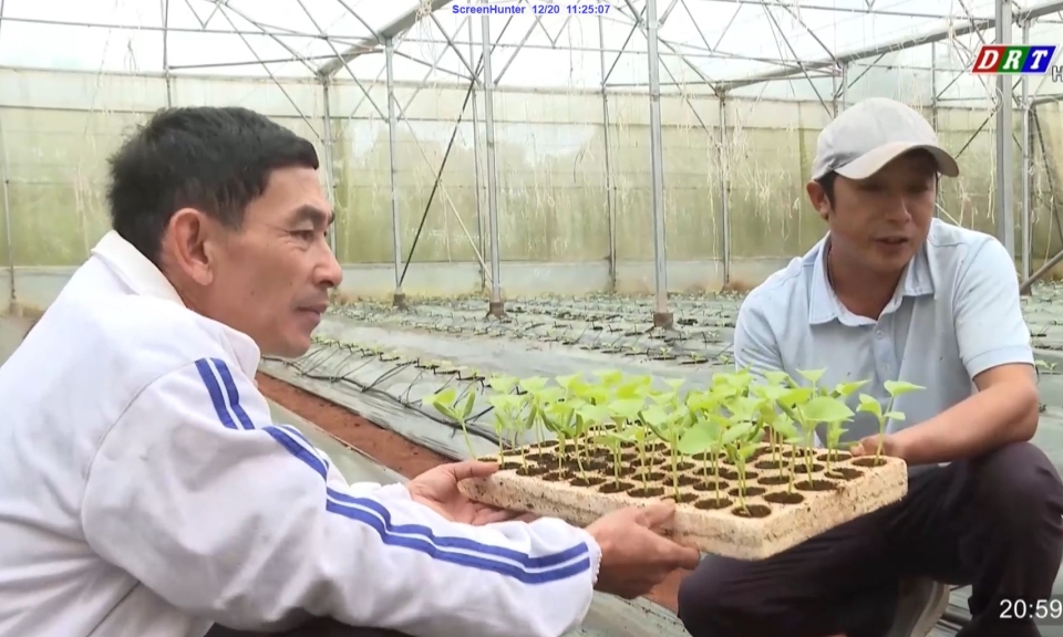 Đời sống n&ocirc;ng th&ocirc;n ng&agrave;y 19-12-2023