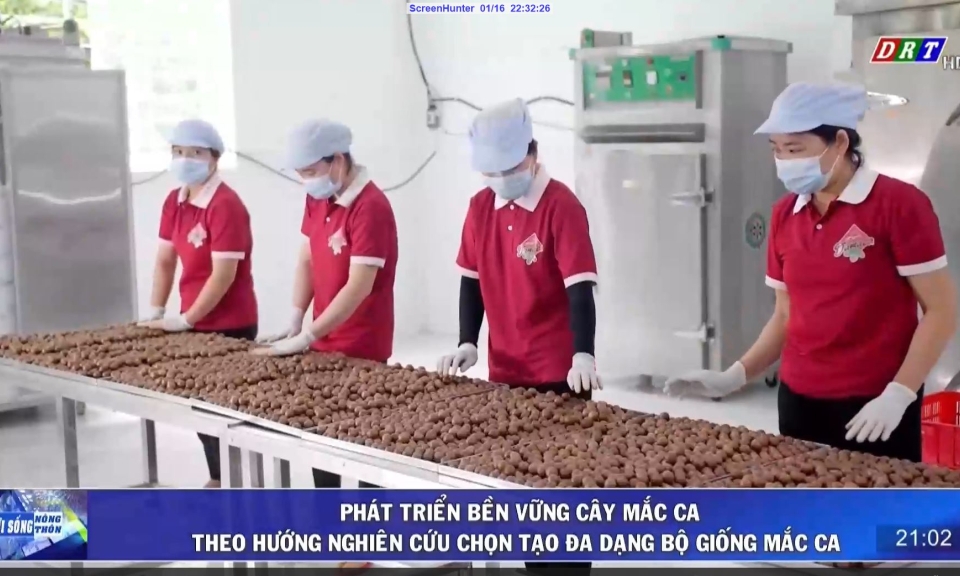 Đời sống n&ocirc;ng th&ocirc;n ng&agrave;y 16-1-2024