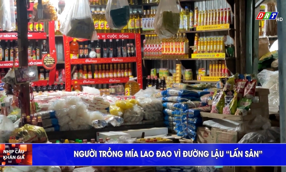 Nhịp c&acirc;̀u khán giả ng&agrave;y 24-10-2025