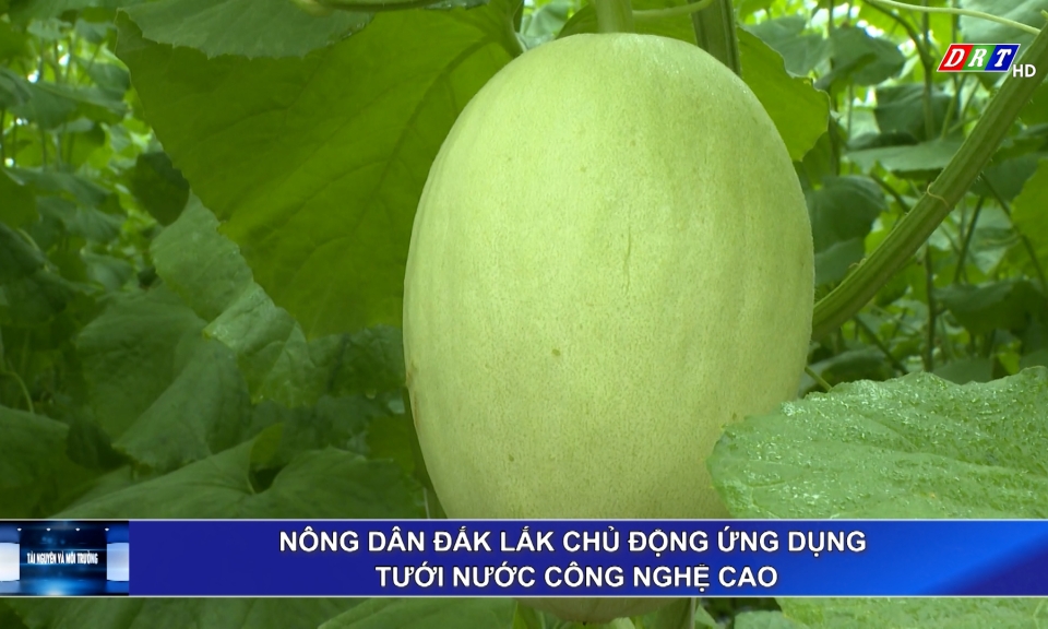 T&agrave;i nguy&ecirc;n v&agrave;  M&ocirc;i trường ng&agrave;y 9-1-2026