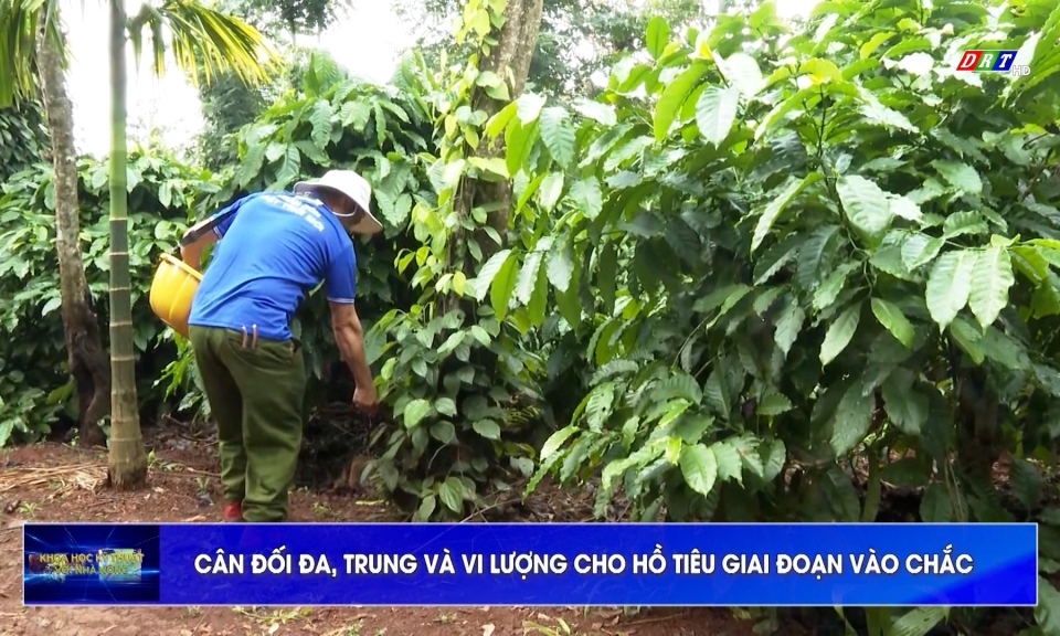 Khoa học kỹ thuật với nh&agrave; n&ocirc;ng ng&agrave;y 2-2-2026