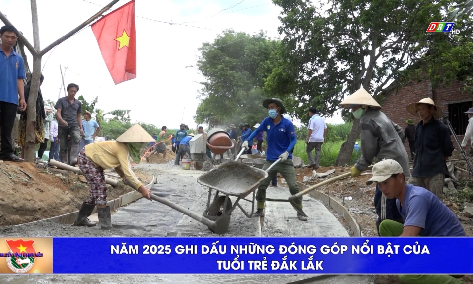 Truyền h&igrave;nh Thanh ni&ecirc;n ng&agrave;y 8-2-2026