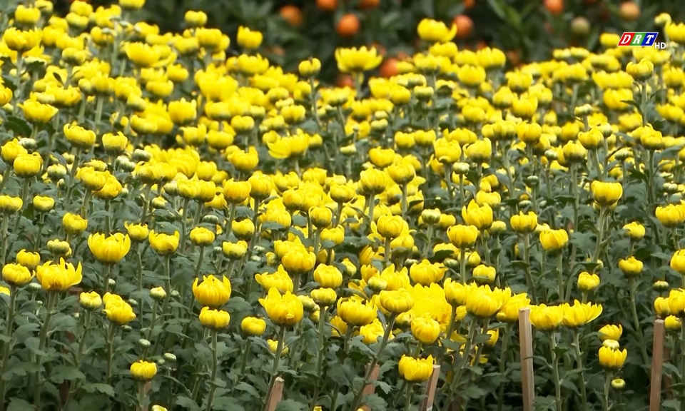 Khoa học kỹ thuật với nh&agrave; n&ocirc;ng ng&agrave;y 9-2-2026