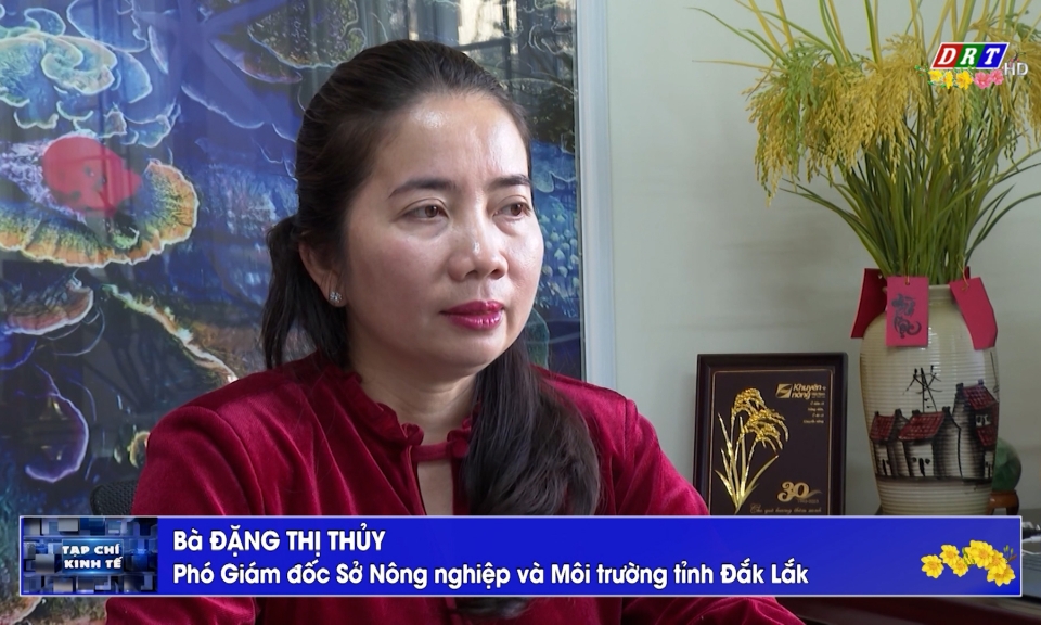 Tạp ch&iacute; kinh tế ng&agrave;y 19-2-2026