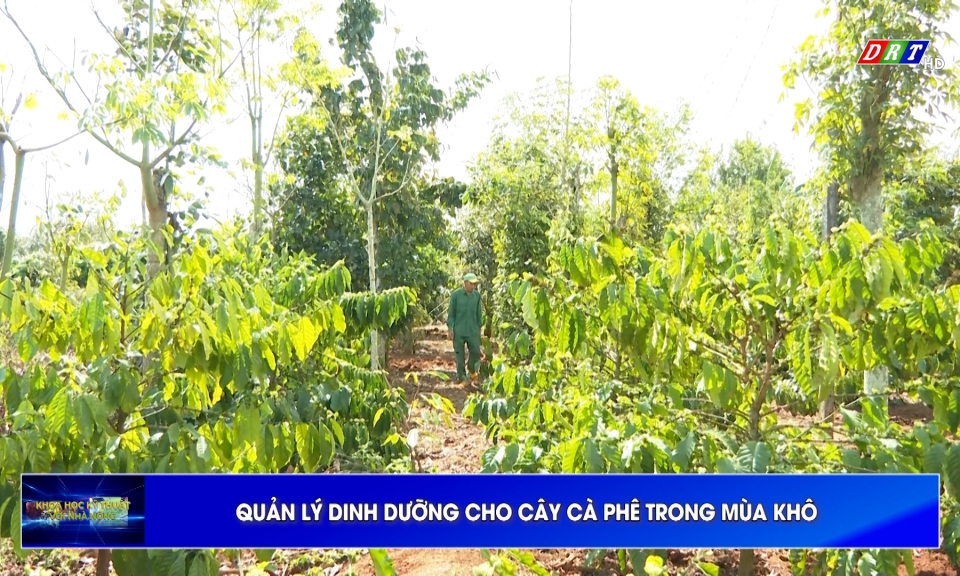 Khoa học kỹ thuật với nh&agrave; n&ocirc;ng ng&agrave;y 9-3-2026